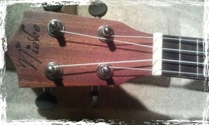 Nieke Ukuleles379827415
