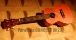 PuraVida CONCERT UK23-c